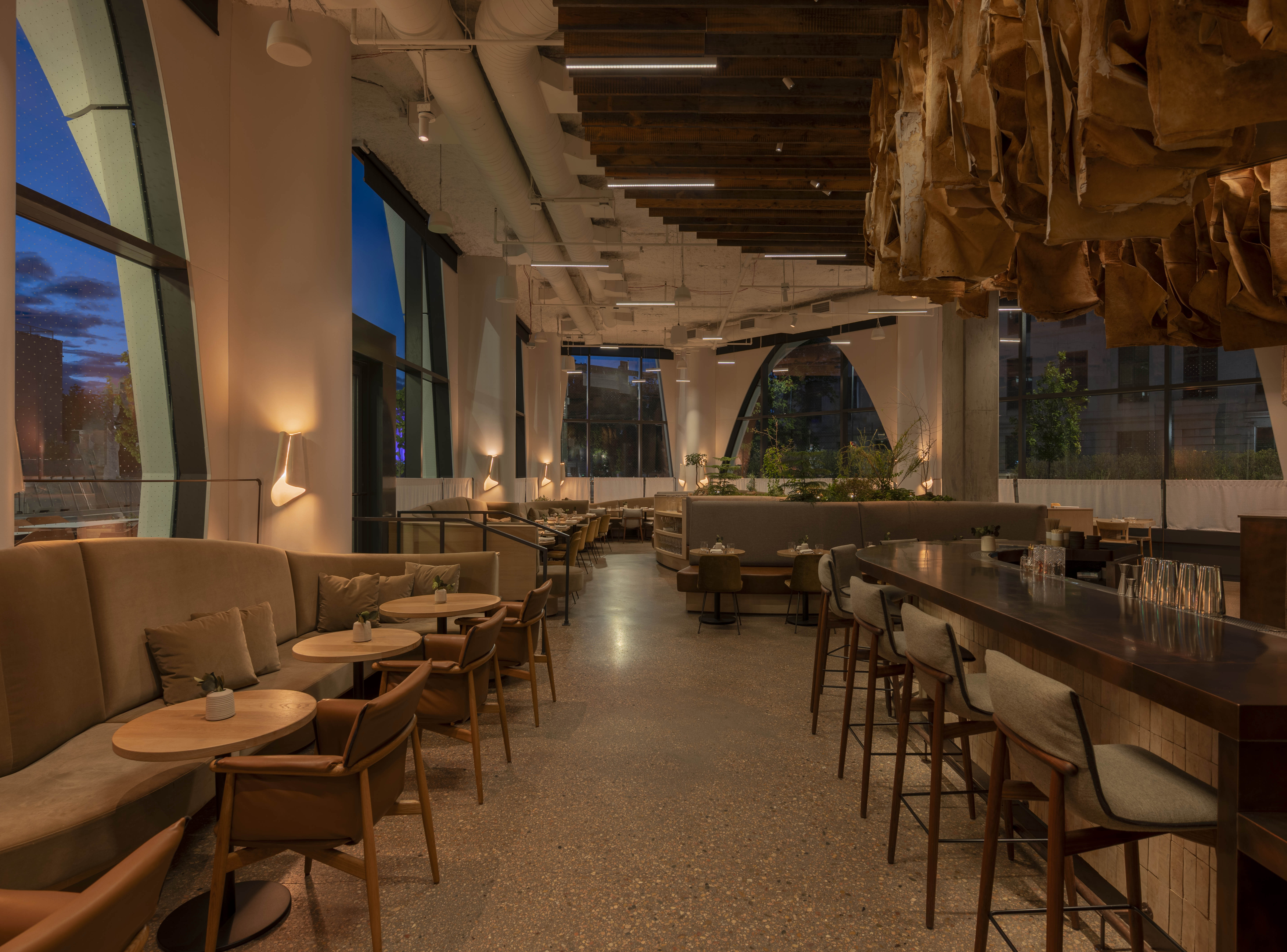 Populus 20250520 0351 HDR